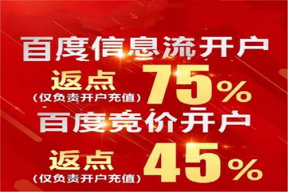 某电商平台的SEM竞价专员成功案例分享